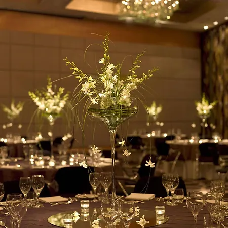 Hyatt Regency Hotel Mainz