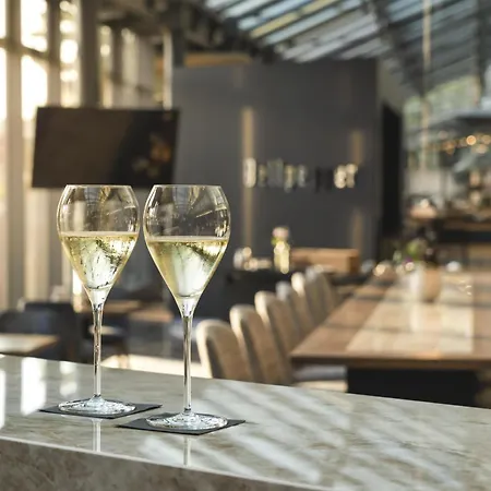 Hotel Hyatt Regency Mainz