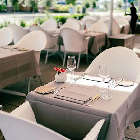Hyatt Regency מלון מיינץ